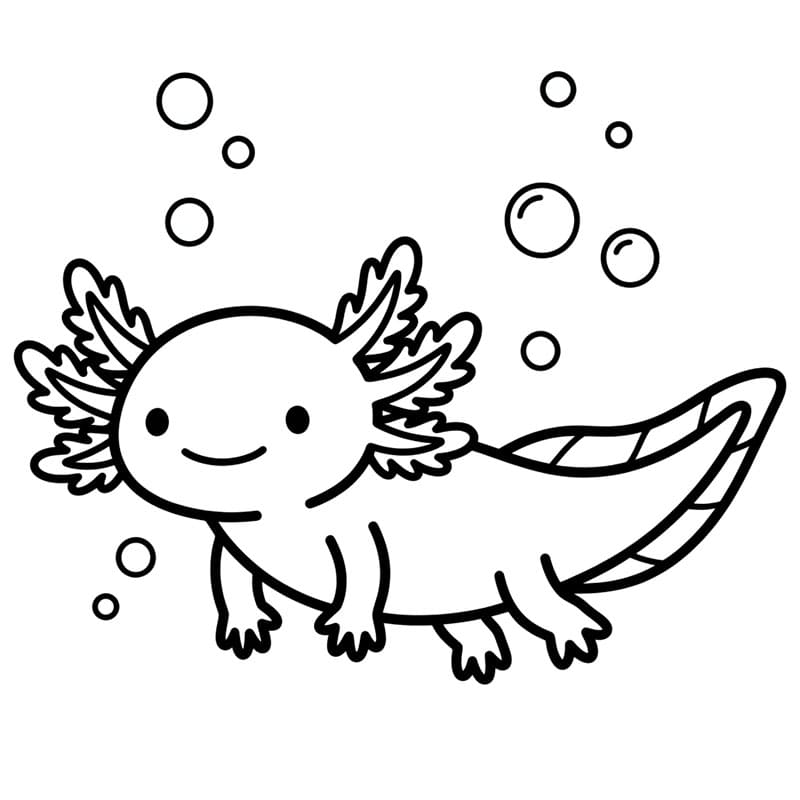 L'axolotl sorrise da colorare
