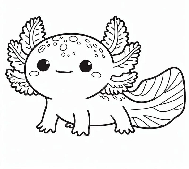 L'axolotl sorrise da colorare