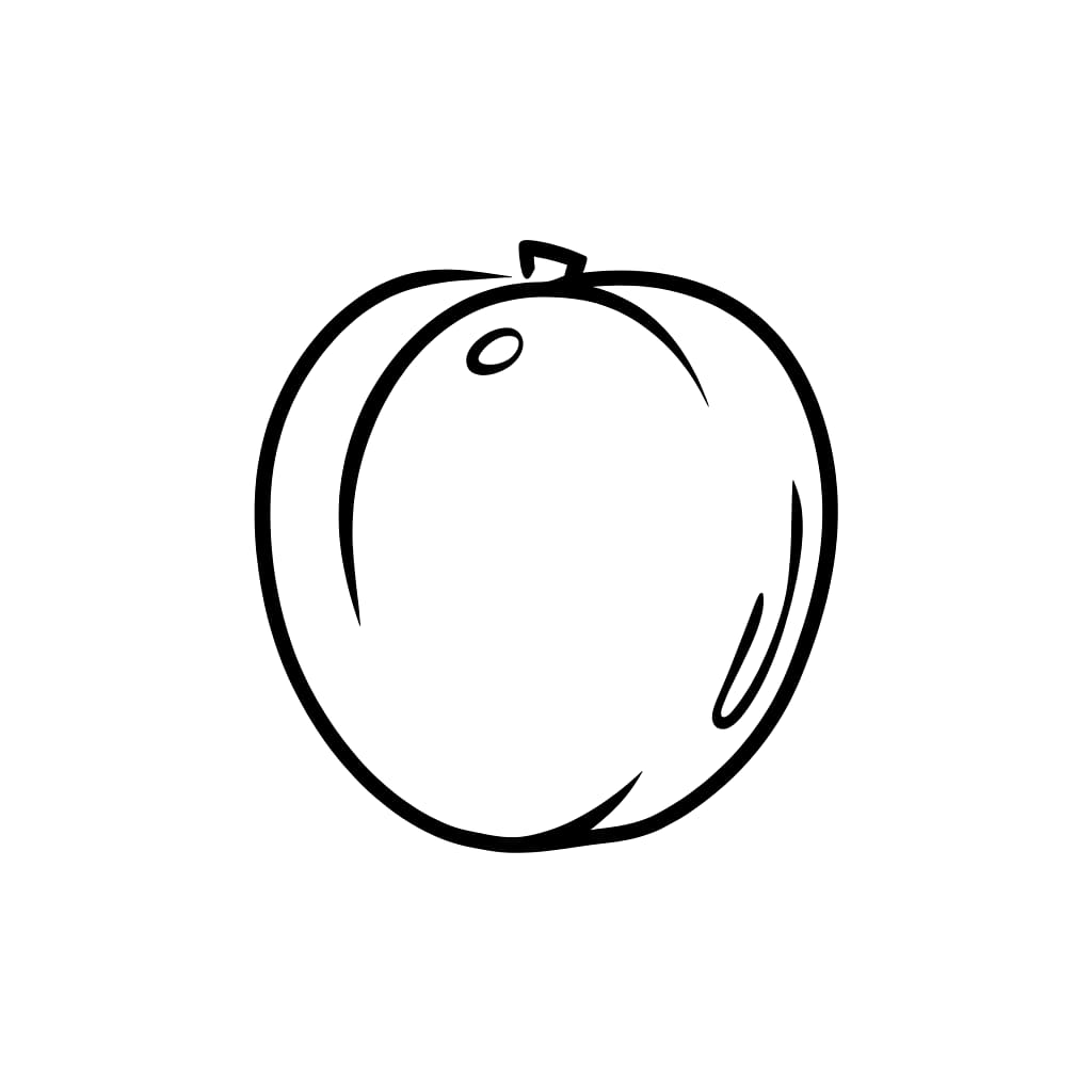 Le prugne sono semplici da colorare