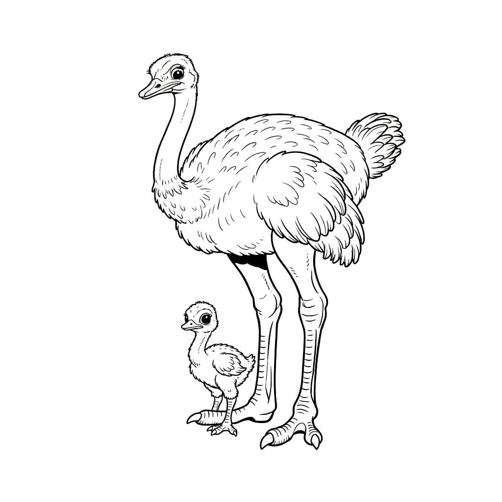 Madre struzzo e cucciolo di struzzo da colorare
