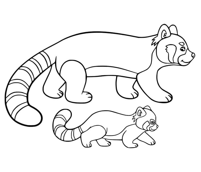 Mamma e cucciolo di panda rosso da colorare