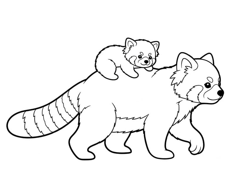 Mamma panda rosso e cucciolo da colorare