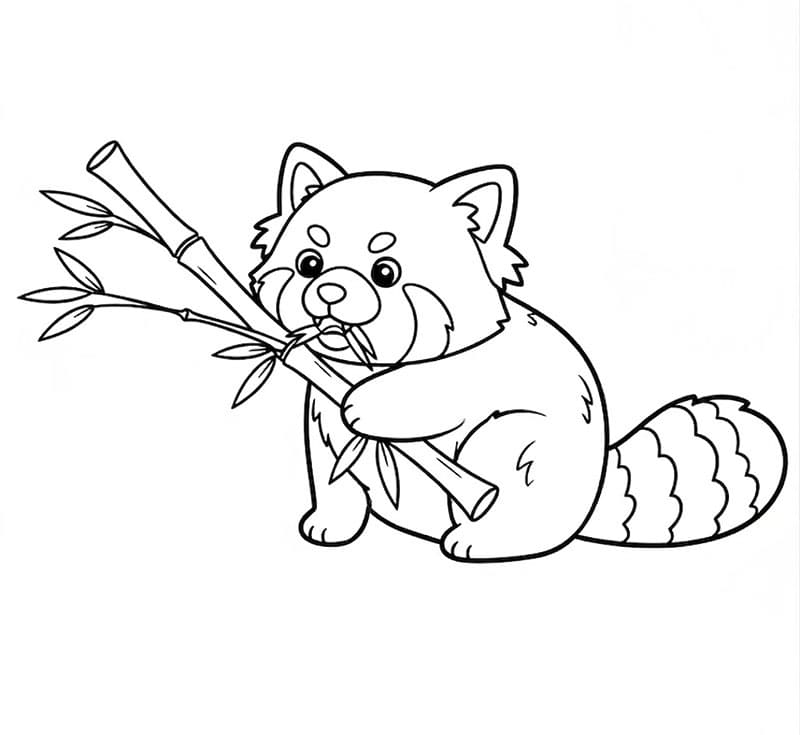 Mangiare il panda rosso da colorare