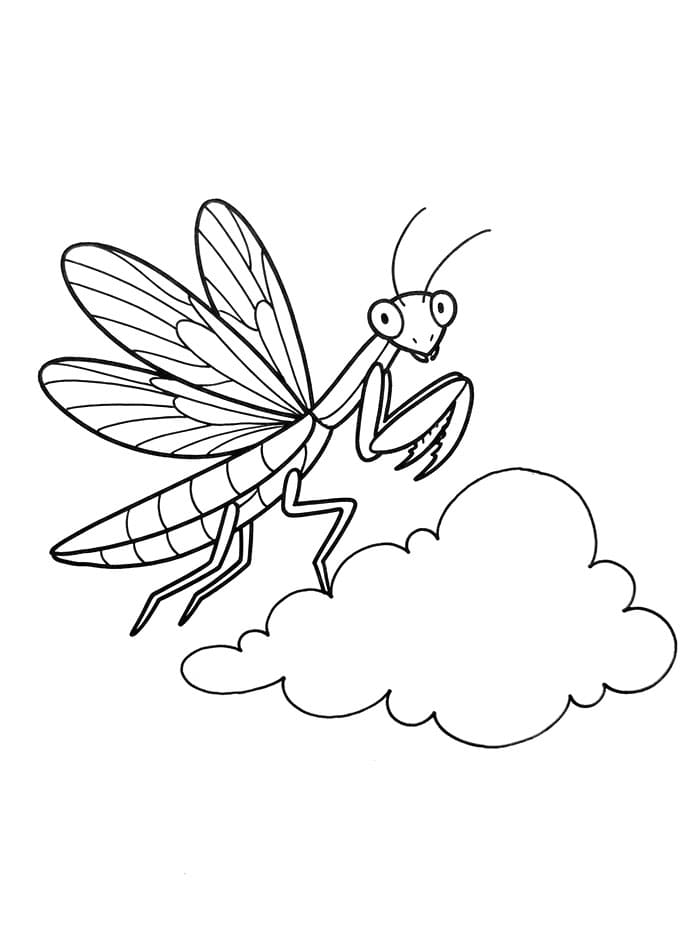 Mantide religiosa e una mosca da colorare