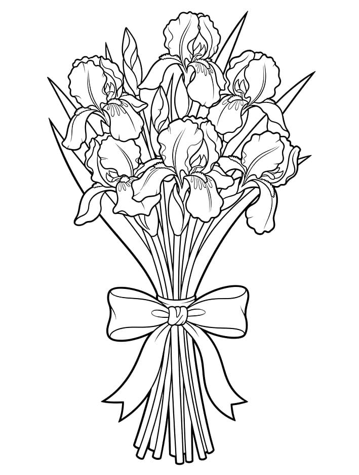 Mazzo di Iris da colorare
