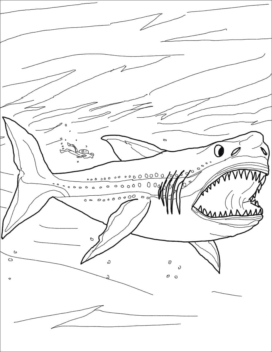 Megalodonte che nuota da colorare