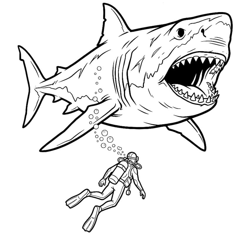 Megalodonte contro subacqueo da colorare