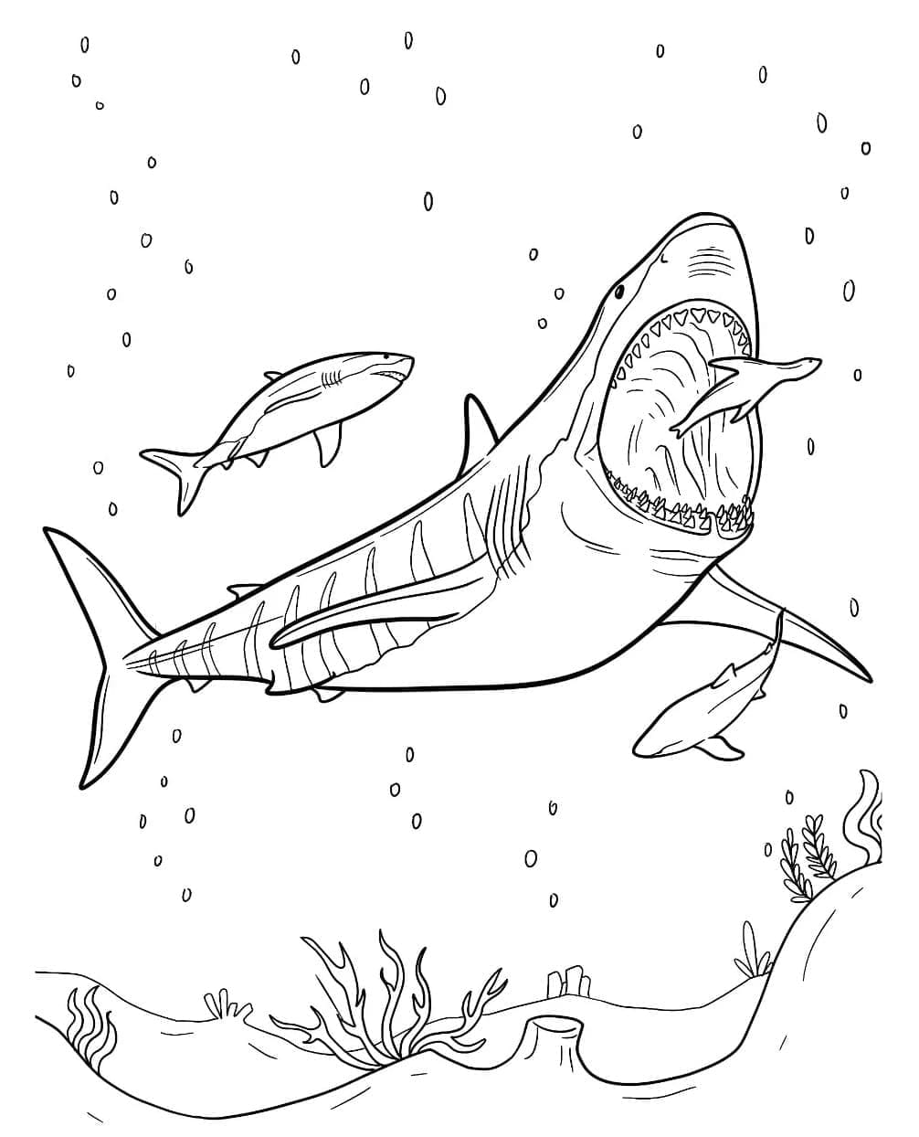 Megalodonte gigante da colorare