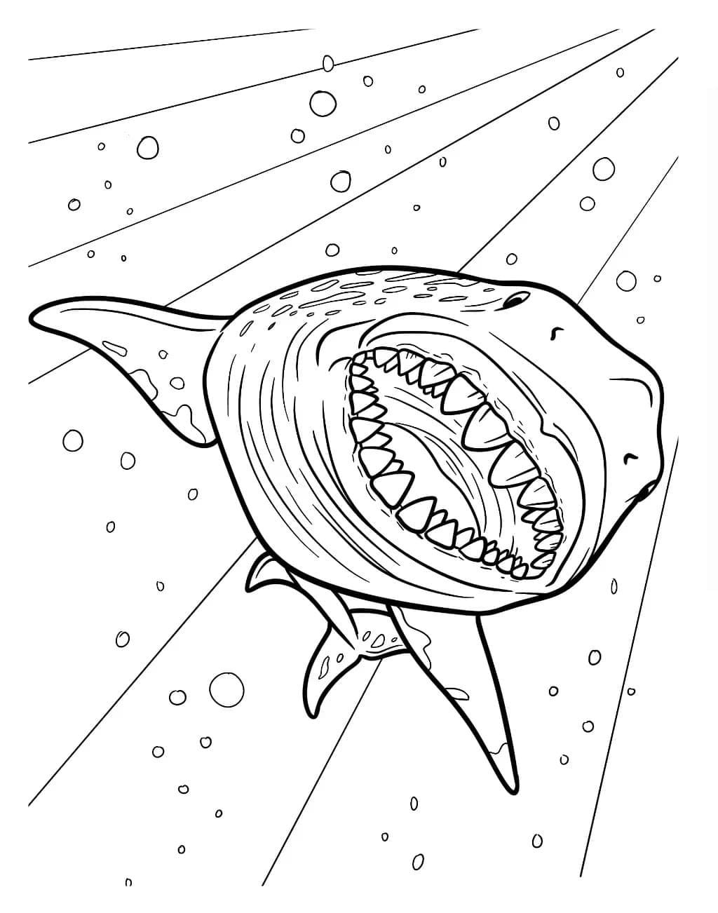 Megalodonte mostruoso da colorare