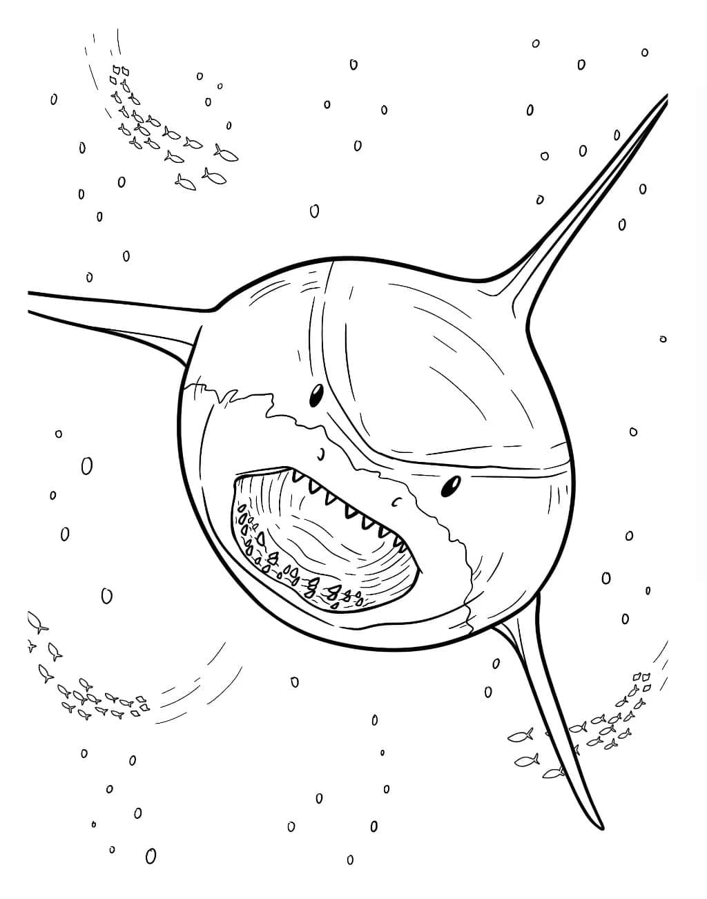 Megalodonte stampabile da colorare