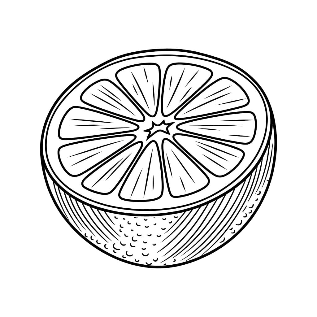 Mezza arancia da colorare