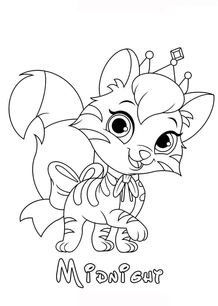 Midnight di Palace Pets da colorare