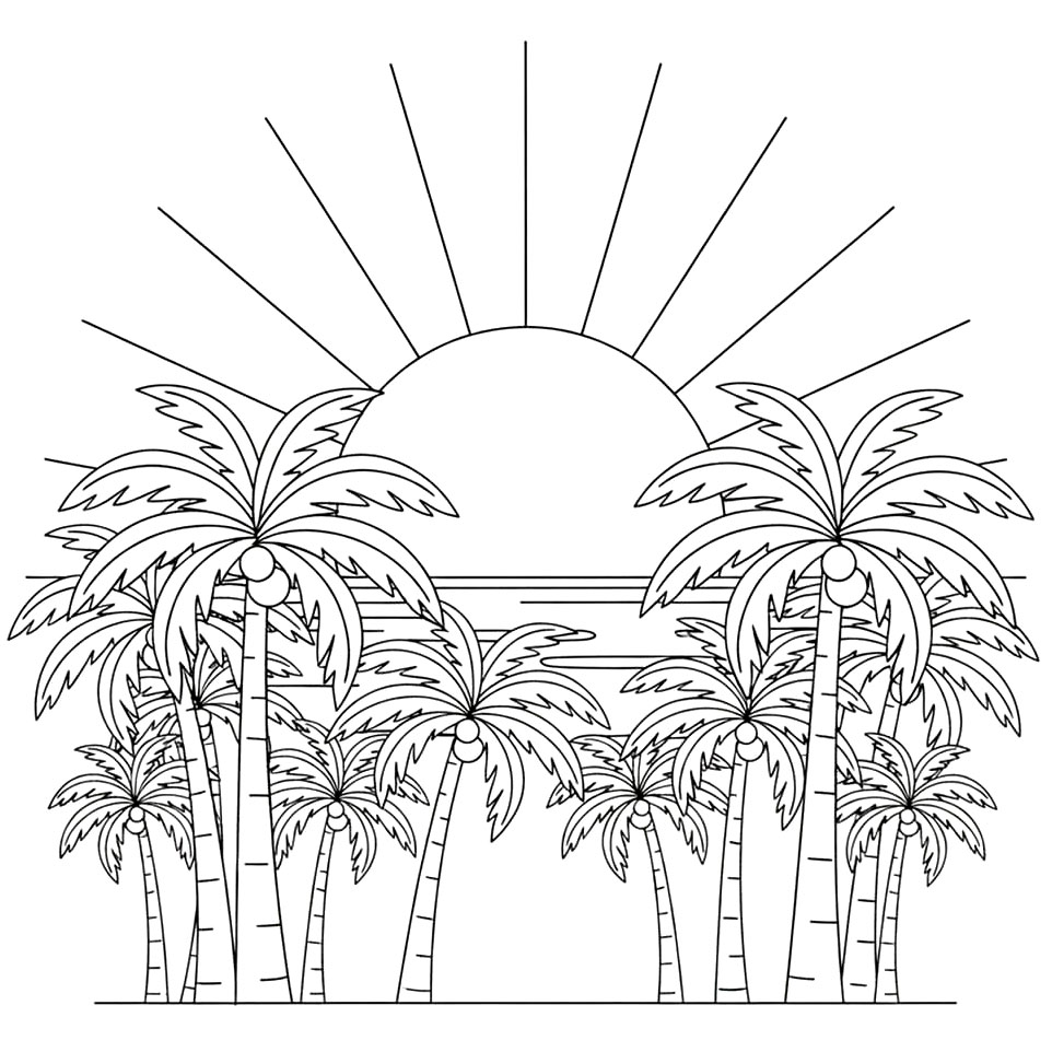 Molte palme e tramonto da colorare