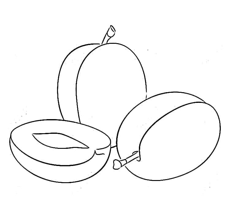 Molte prugne da colorare