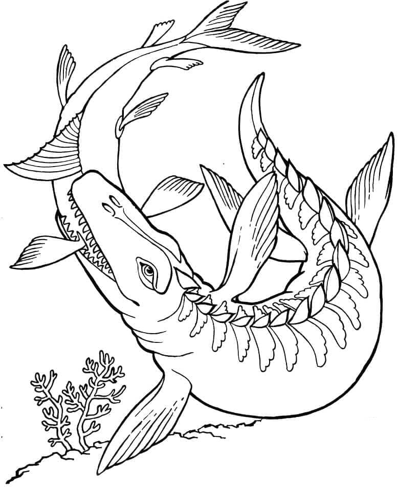 Mosasauro gigante da colorare