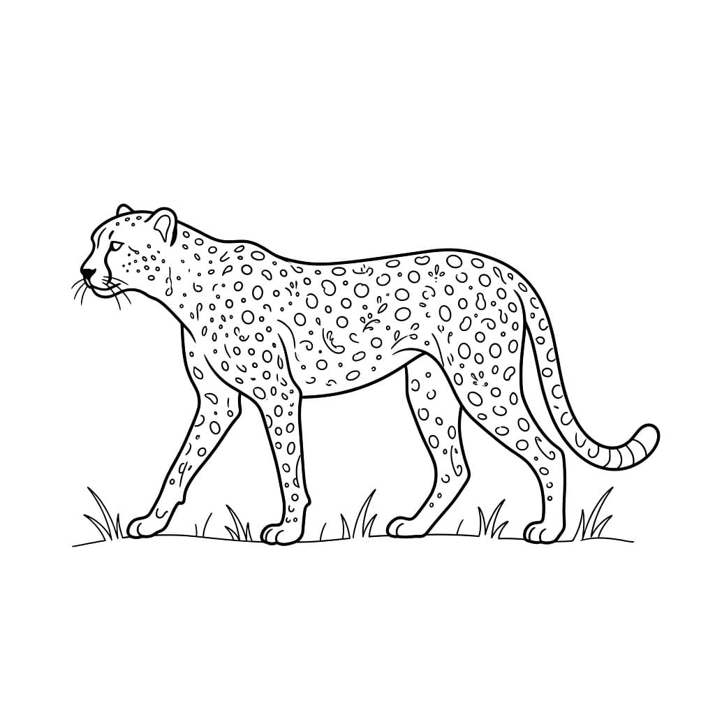 Motivo a silhouette di ghepardo da colorare