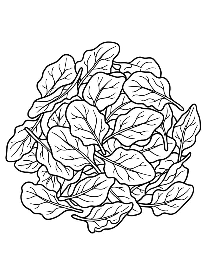 Mucchio di spinaci da colorare