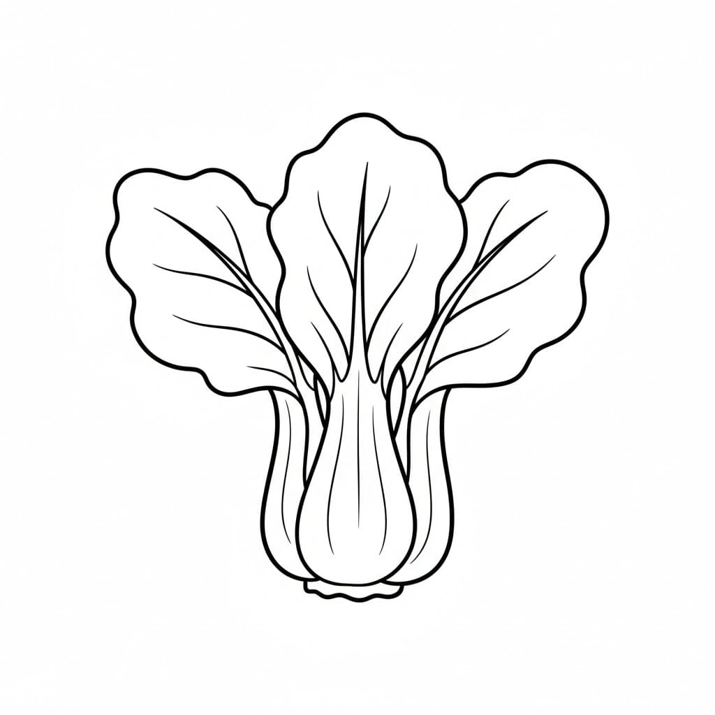 Pak choi da colorare