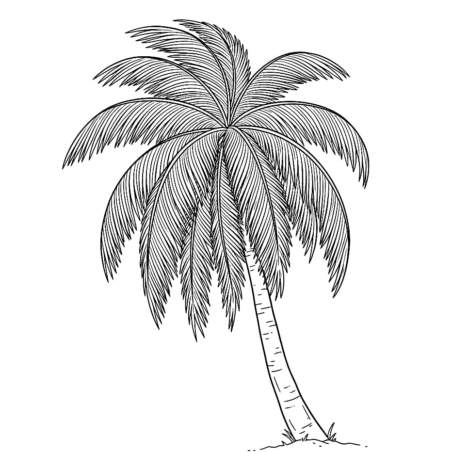 Palma con molte foglie da colorare