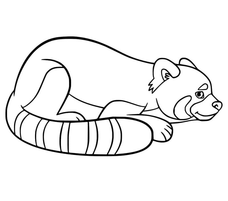 Panda rosso Immagine gratuita da colorare