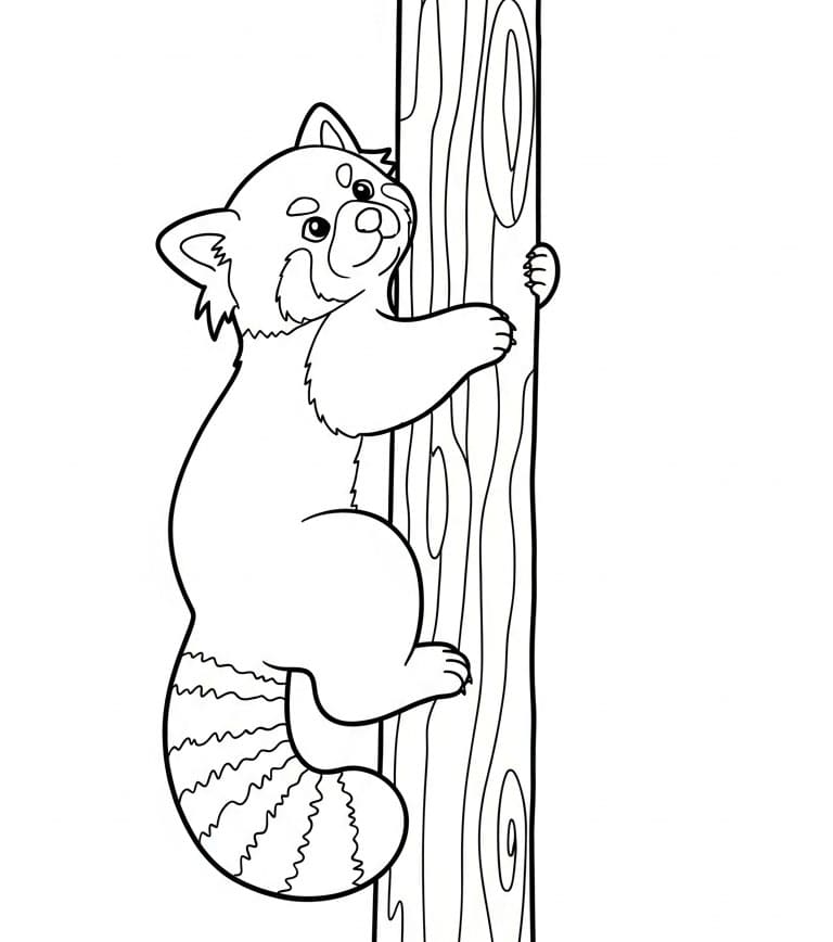 Panda rosso che si arrampica da colorare