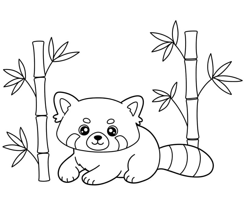 Panda rosso e bambù da colorare