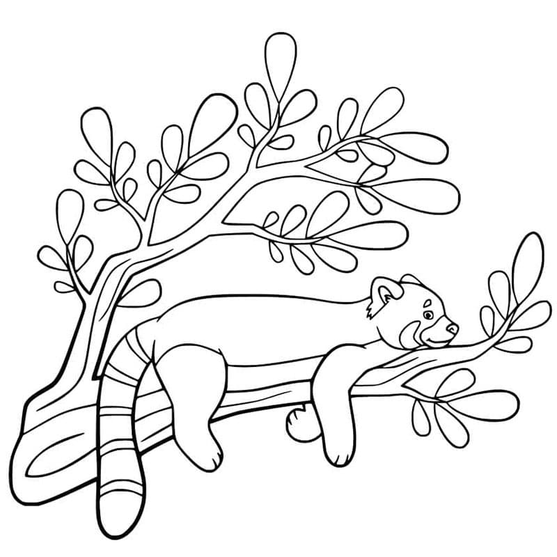 Panda rosso gratis da colorare