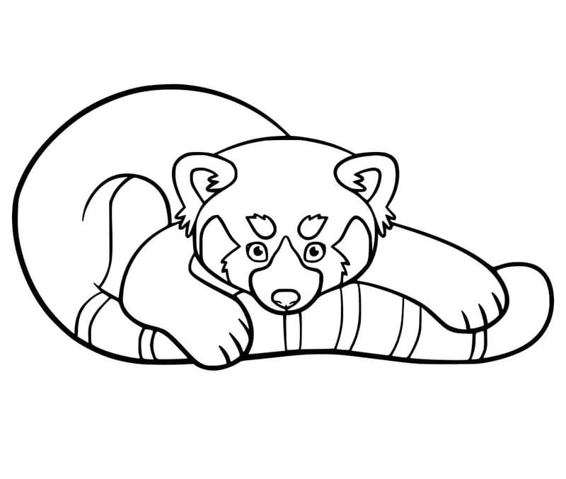 Panda rosso normale da colorare