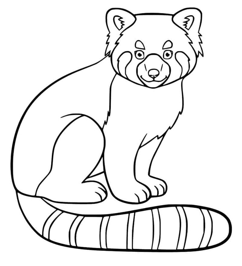 Panda rosso stampabile gratuitamente da colorare