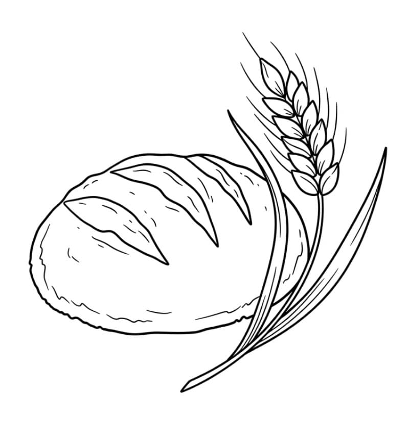 Pane con grano da colorare