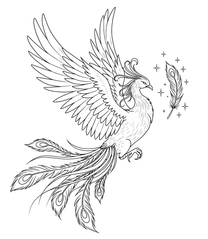 Piccola fenice da colorare