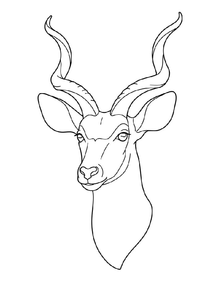 Profilo della testa di antilope da colorare