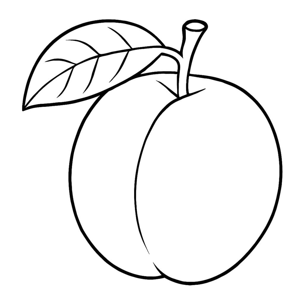 Prugna con foglie da colorare