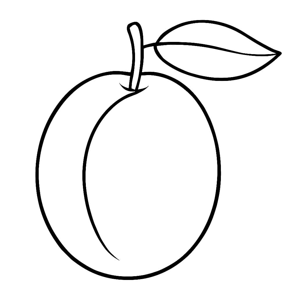 Prugna deliziosa da colorare