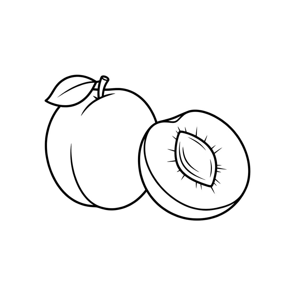 Prugna e mezza da colorare
