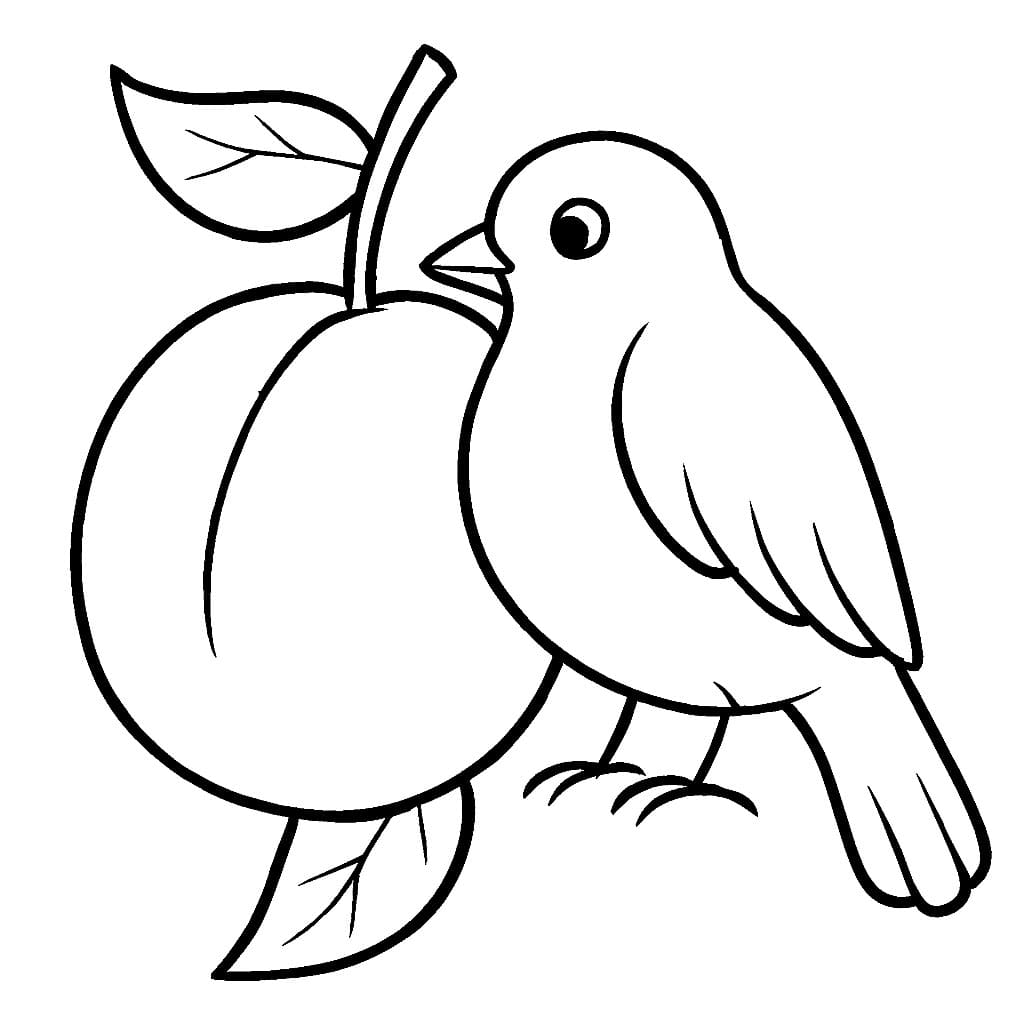 Prugna e uccello da colorare