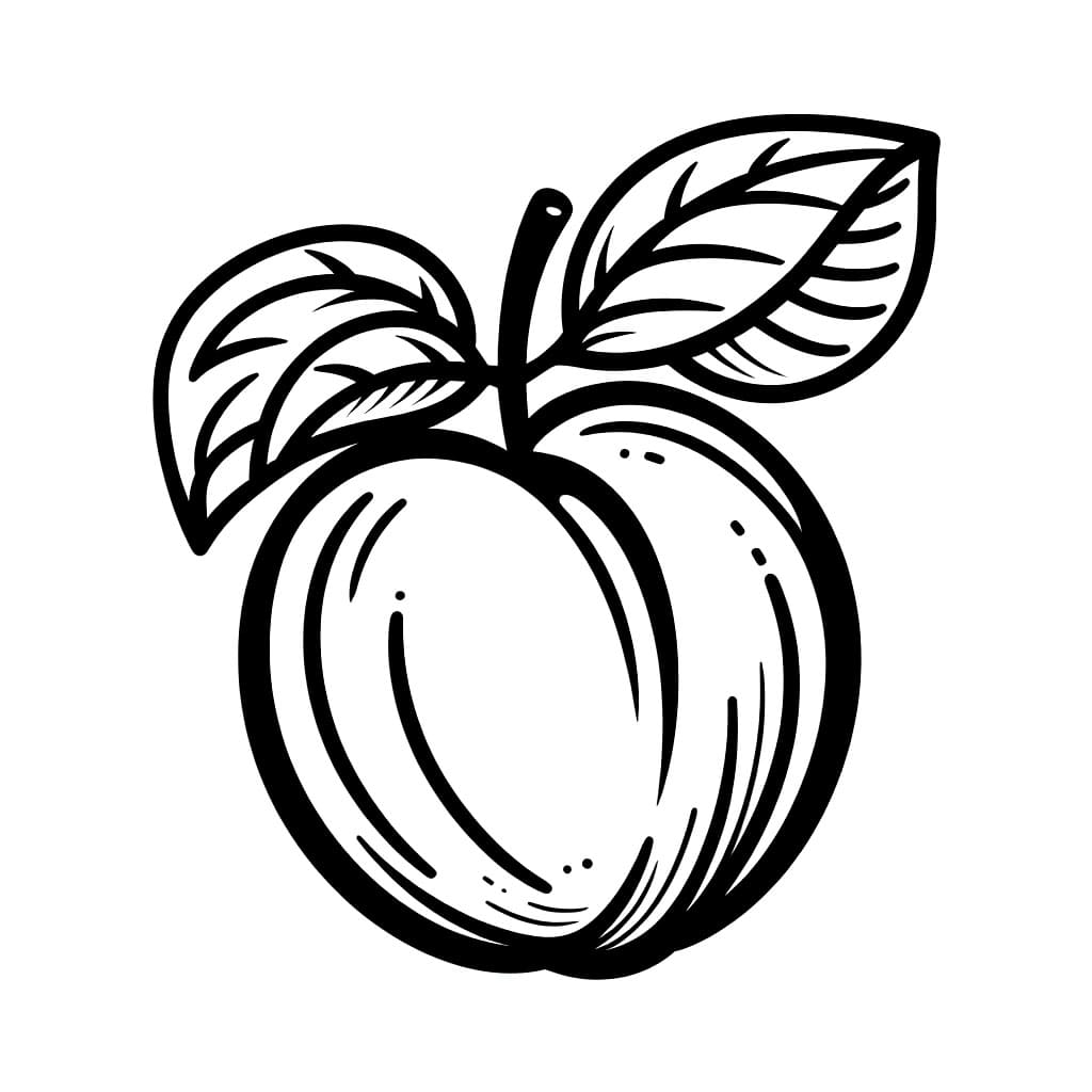 Prugna semplice da colorare