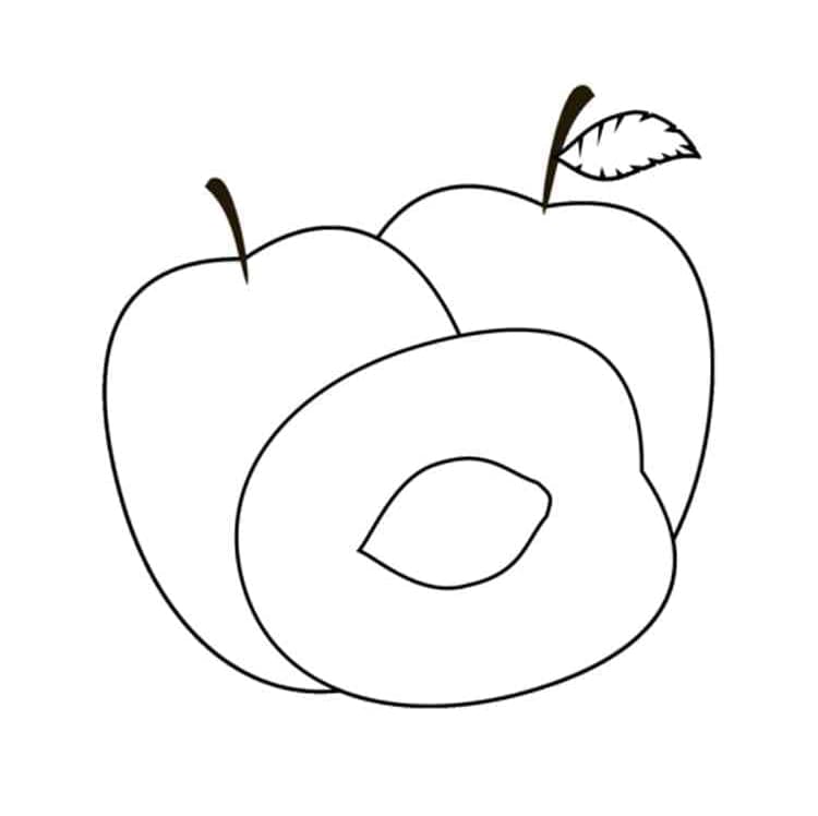 Prugne facili da colorare