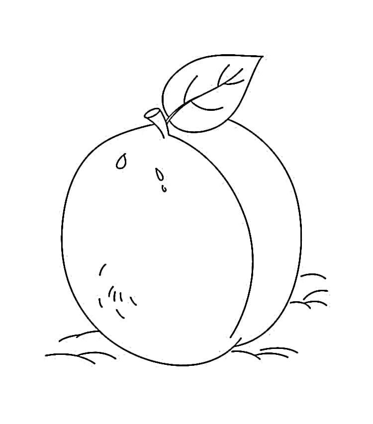 Prugne gratis per i bambini da colorare