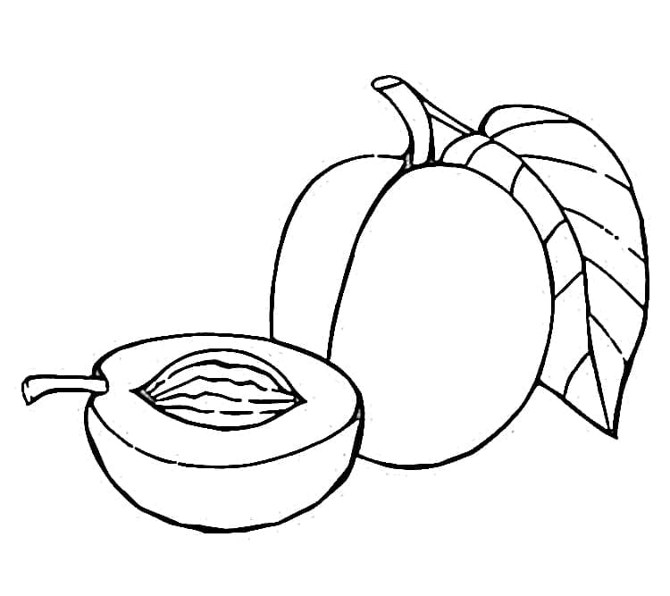 Prugne gratis da colorare