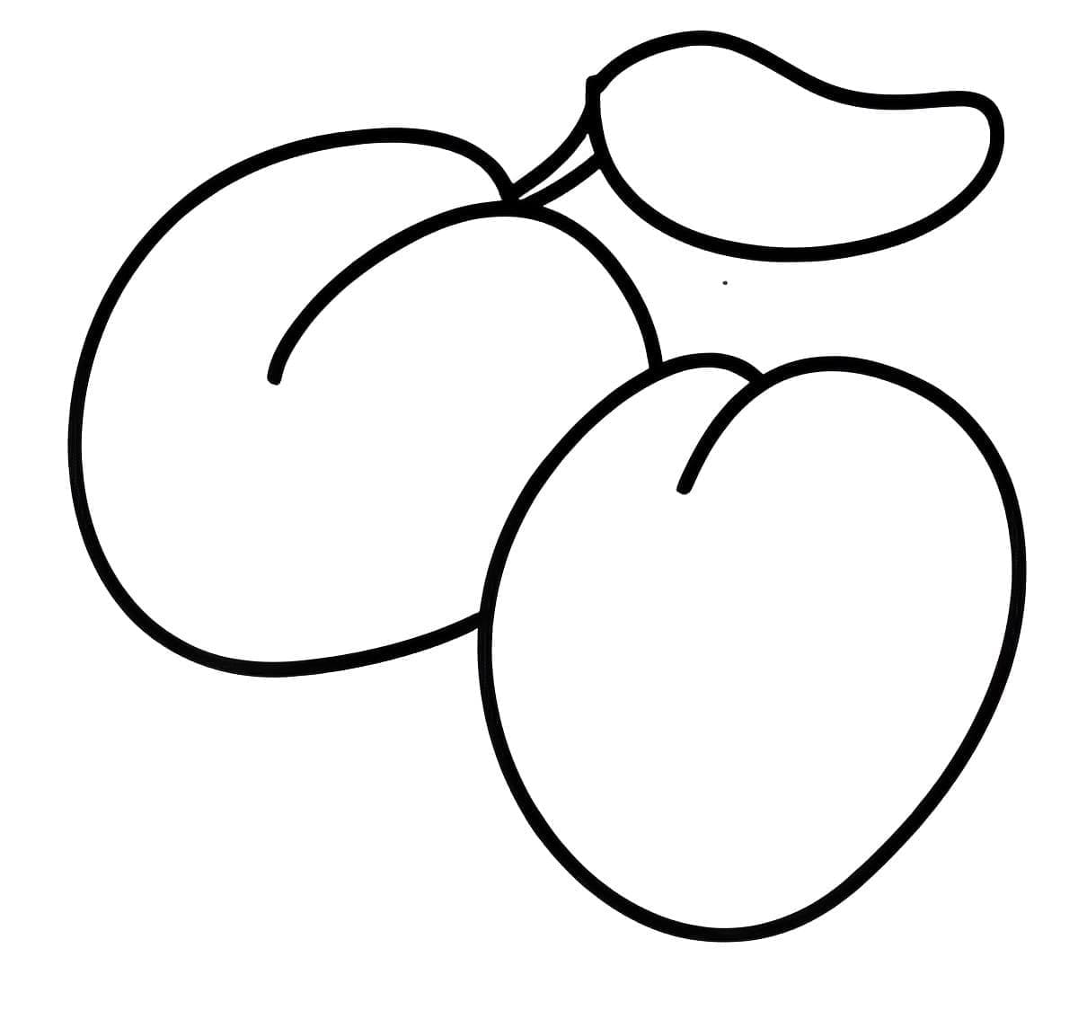 Prugne semplici da colorare