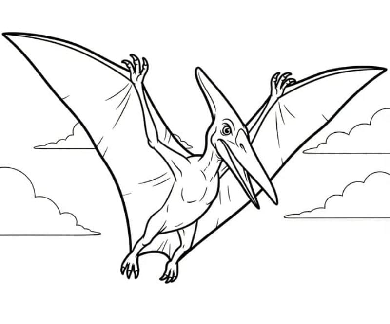 Pterodattilo al tramonto da colorare
