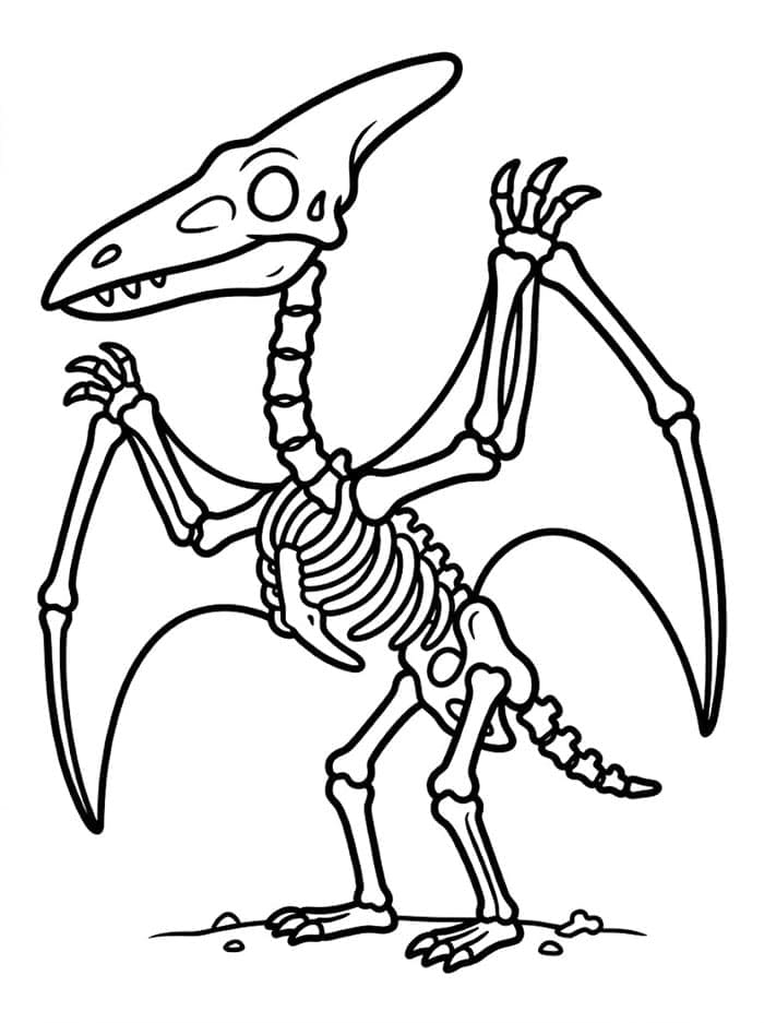 Pterodattilo cucciolo sulla roccia da colorare
