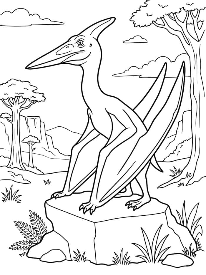 Pterodattilo e stella da colorare