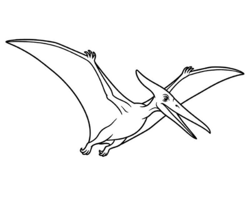 Pterodattilo sulla roccia da colorare