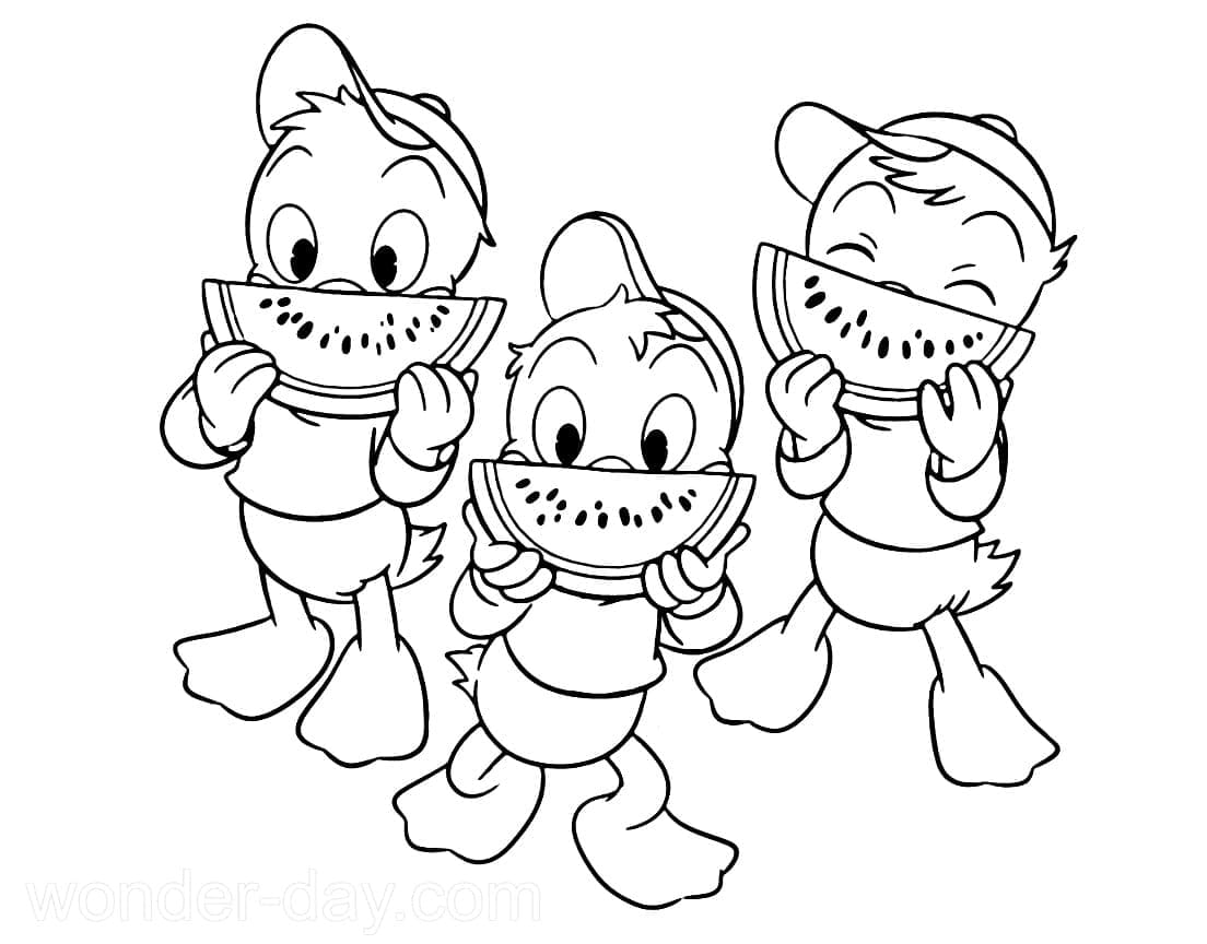 Qui, Quo e Qua da colorare