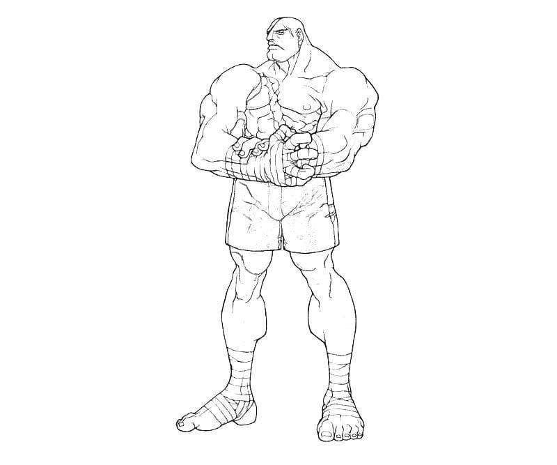 Sagat Street Fighter da colorare