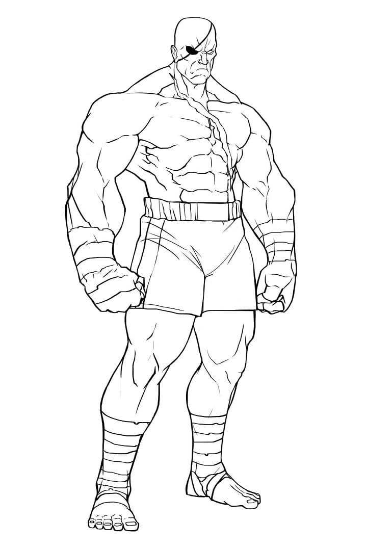 Sagat da colorare
