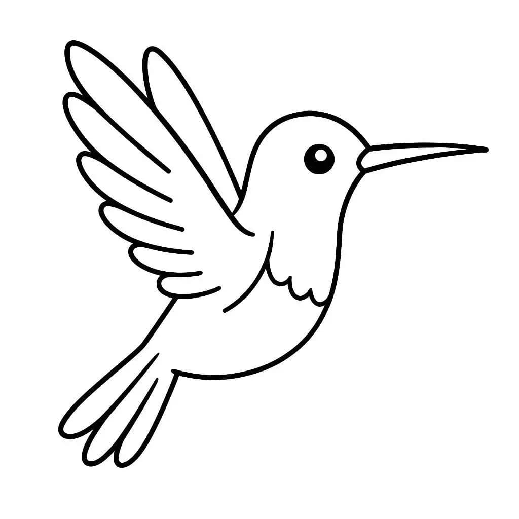 Schema dei colibrì da colorare Schema dei colibrì da colorare