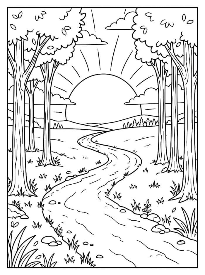 Sentiero nel bosco al tramonto da colorare